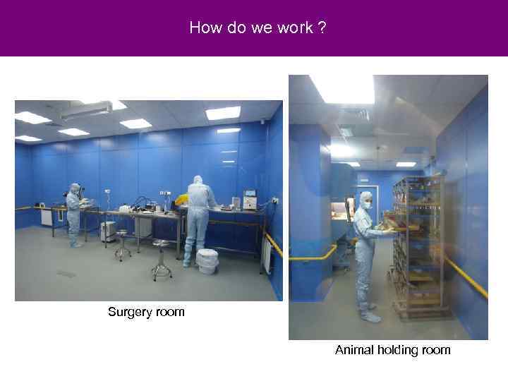 How do we work ? Surgery room Animal holding room 