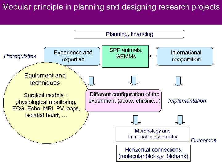 Modular principle in planning and designing research projects Planning, financing Prerequisites SPF animals, GEMMs