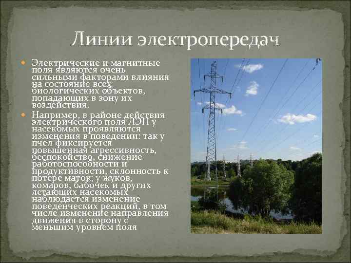 Линии электропередач Электрические и магнитные поля являются очень сильными факторами влияния на состояние всех