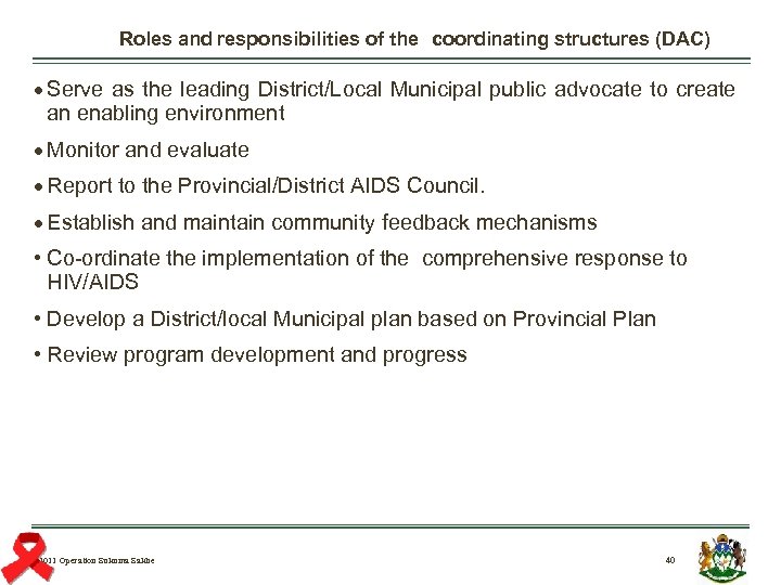 Roles and responsibilities of the coordinating structures (DAC) Serve as the leading District/Local Municipal