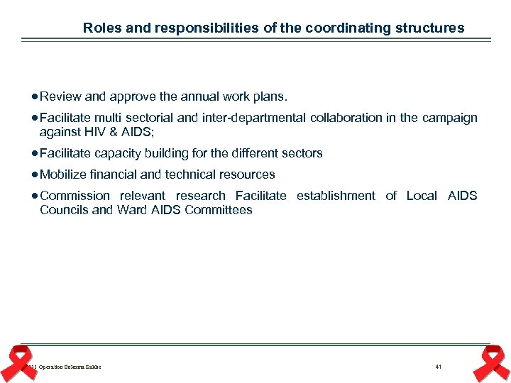  Roles and responsibilities of the coordinating structures Review and approve the annual work