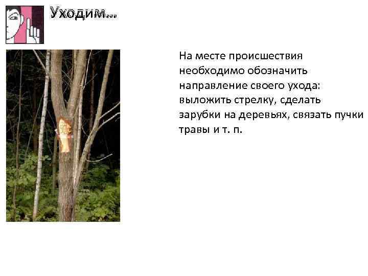 Уходим… На месте происшествия необходимо обозначить направление своего ухода: выложить стрелку, сделать зарубки на