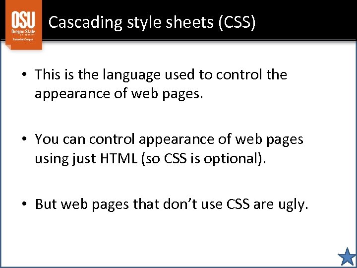 Cascading style sheets (CSS) • This is the language used to control the appearance