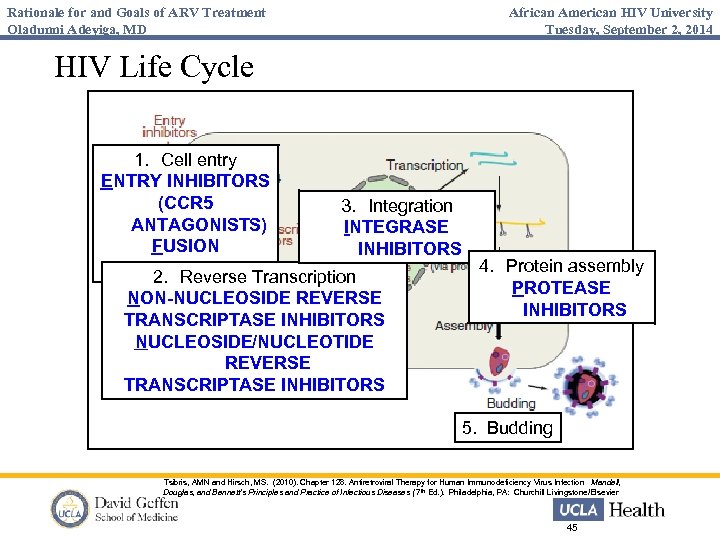 Rationale for and Goals of ARV Treatment Oladunni Adeyiga, MD African American HIV University