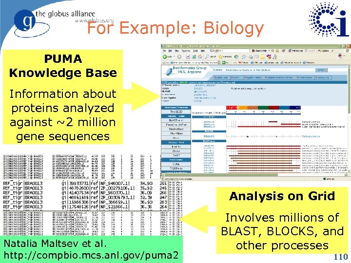 For Example: Biology PUMA Knowledge Base Information about proteins analyzed against ~2 million gene