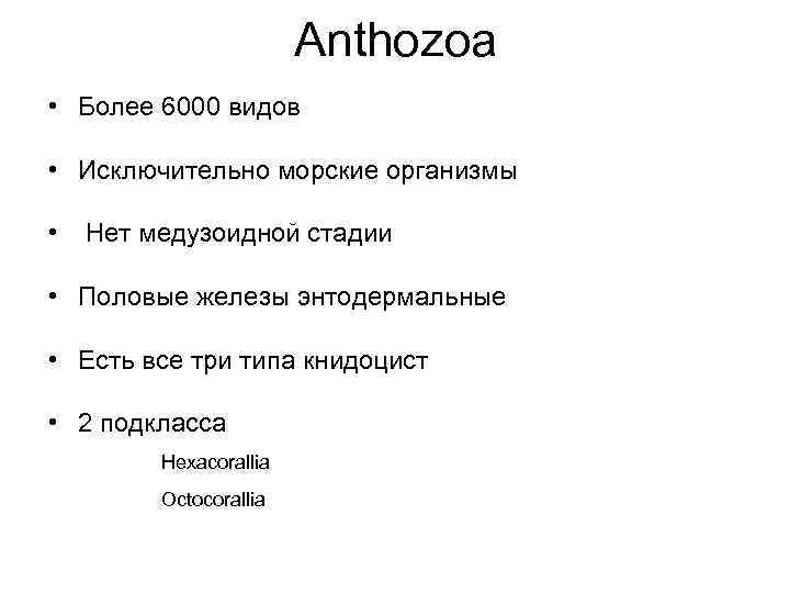 Anthozoa • Более 6000 видов • Исключительно морские организмы • Нет медузоидной стадии •