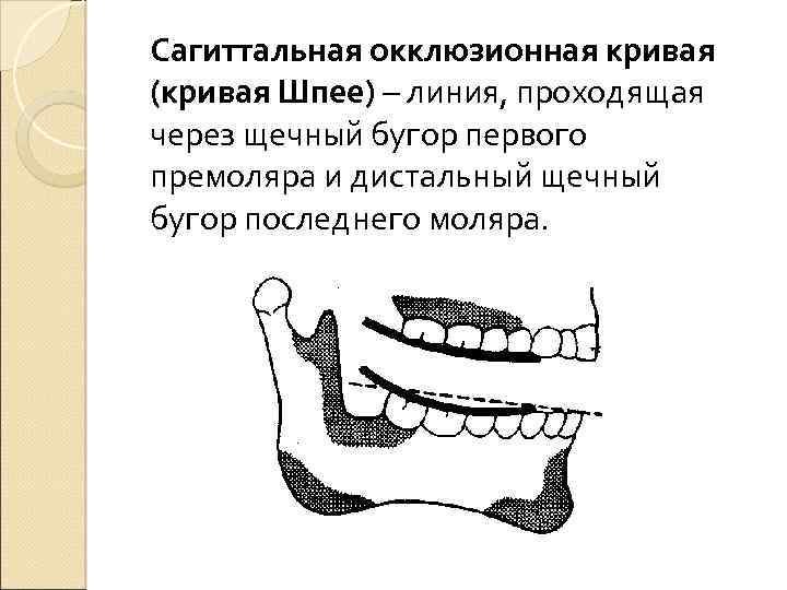 Окклюзионная схема кувата