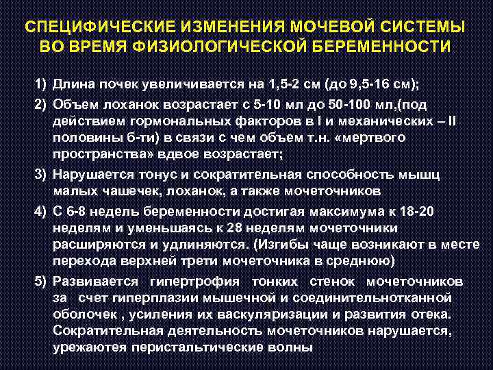 СПЕЦИФИЧЕСКИЕ ИЗМЕНЕНИЯ МОЧЕВОЙ СИСТЕМЫ ВО ВРЕМЯ ФИЗИОЛОГИЧЕСКОЙ БЕРЕМЕННОСТИ 1) Длина почек увеличивается на 1,