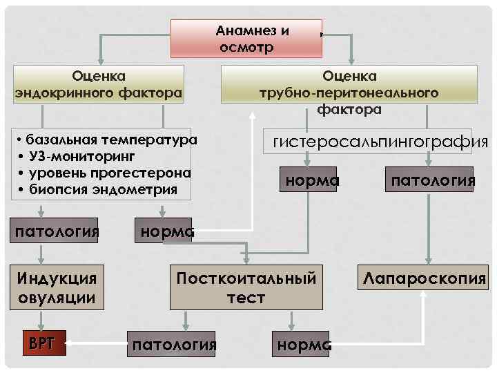 Анамнез и осмотр Оценка эндокринного фактора • базальная температура • УЗ-мониторинг • уровень прогестерона