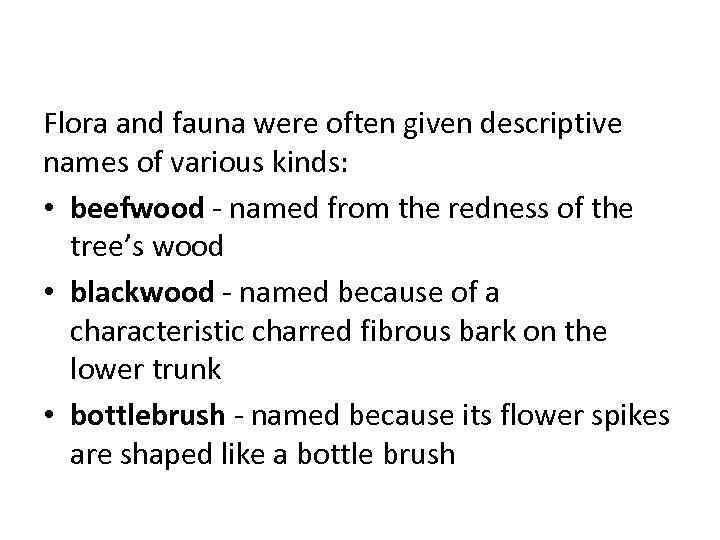 Flora and fauna were often given descriptive names of various kinds: • beefwood -