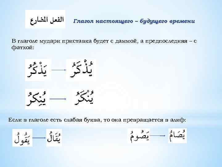 Глагол настоящего – будущего времени В глаголе мудари приставка будет с даммой, а предпоследняя