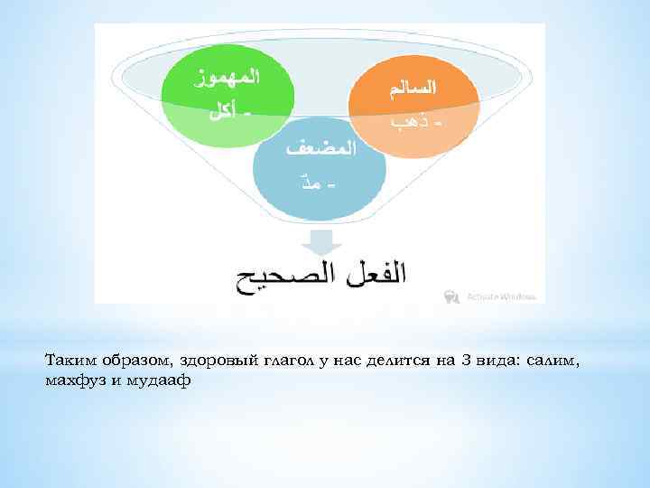 Таким образом, здоровый глагол у нас делится на 3 вида: салим, махфуз и мудааф