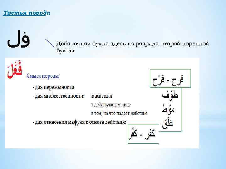 Третья порода ﻓﻝ Добавочная буква здесь из разряда второй коренной буквы. 
