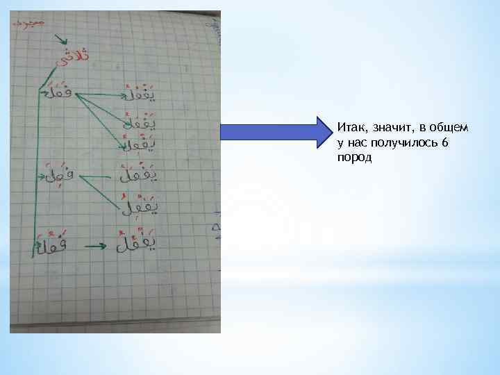 Итак, значит, в общем у нас получилось 6 пород 