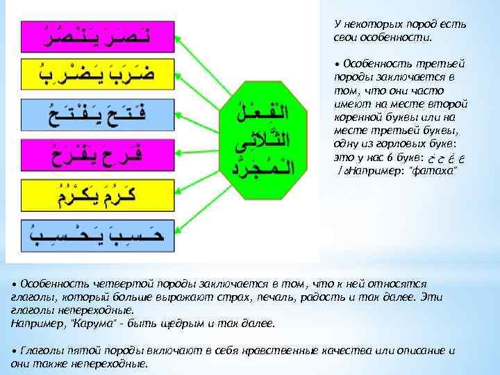 У некоторых пород есть свои особенности. • Особенность третьей породы заключается в том, что