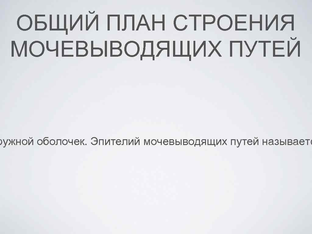ОБЩИЙ ПЛАН СТРОЕНИЯ МОЧЕВЫВОДЯЩИХ ПУТЕЙ ружной оболочек. Эпителий мочевыводящих путей называетс 