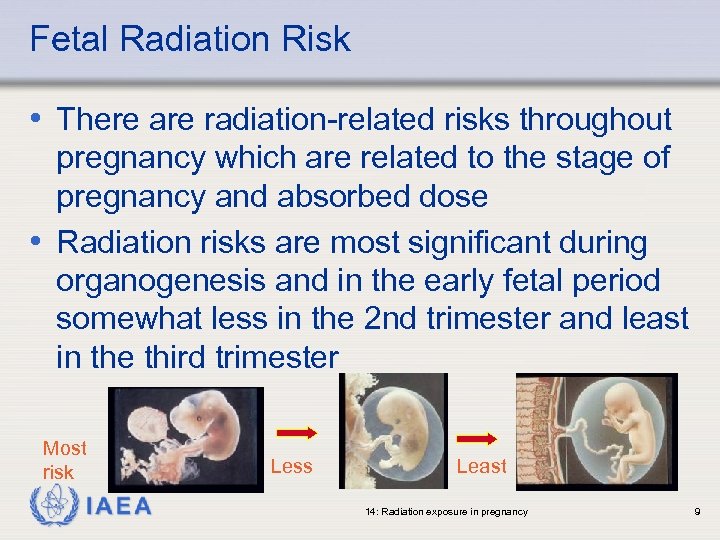 Iaea Training Material On Radiation Protection In Diagnostic 5991