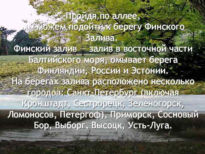 Пройдя по аллее, мы можем подойти к берегу Финского Залива. Финский залив — залив