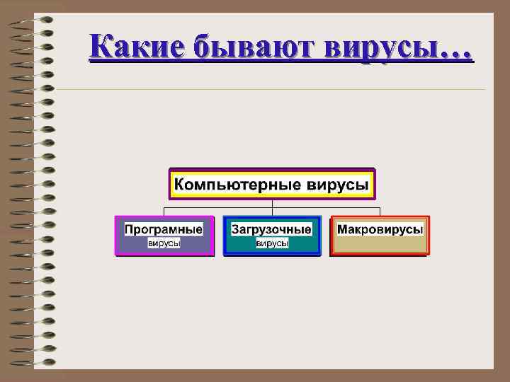 Какие бывают вирусы… 