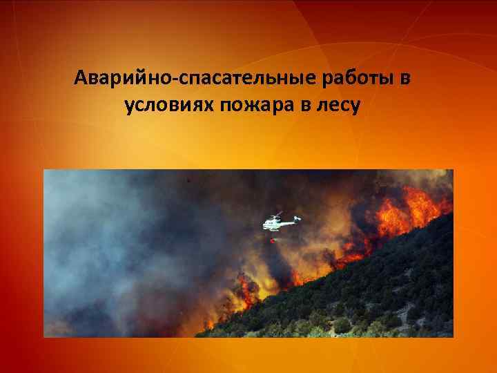 Аварийно-спасательные работы в условиях пожара в лесу 