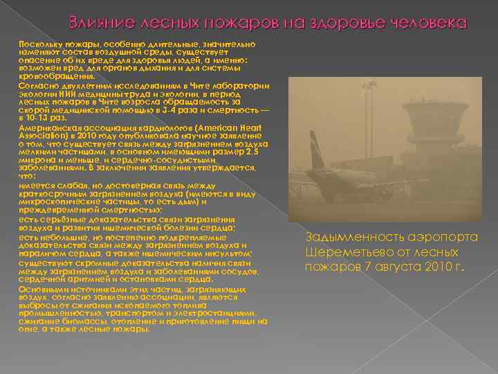 Влияние лесных пожаров на здоровье человека Поскольку пожары, особенно длительные, значительно изменяют состав воздушной