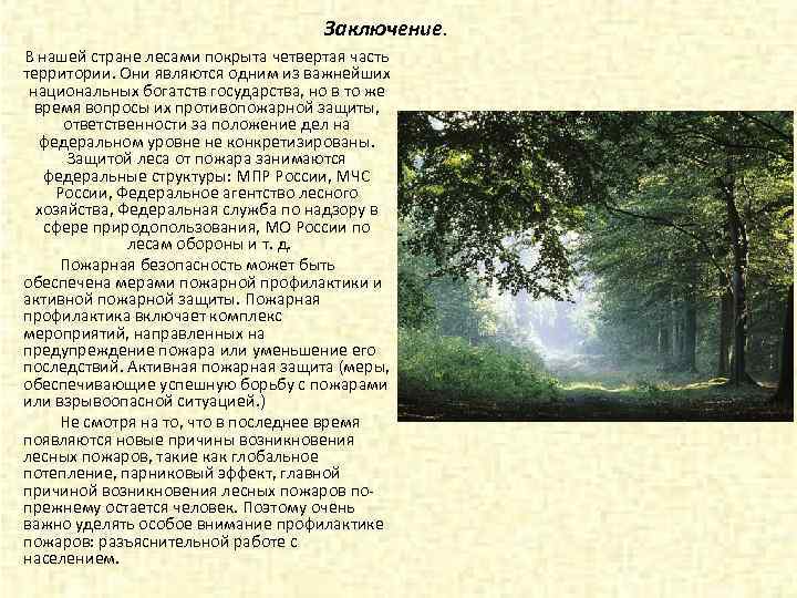 Заключение. В нашей стране лесами покрыта четвертая часть территории. Они являются одним из важнейших