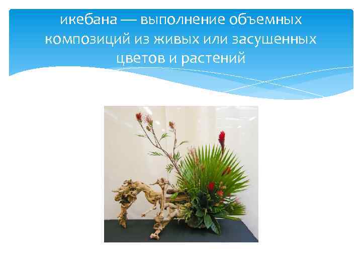 икебана — выполнение объемных композиций из живых или засушенных цветов и растений 
