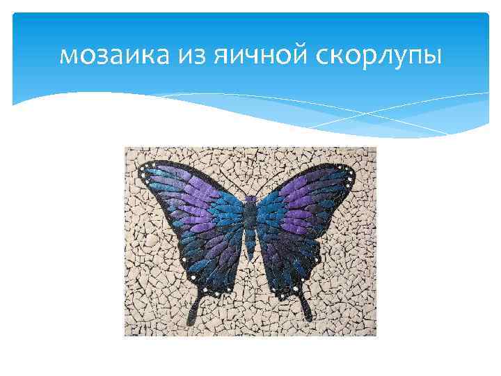 мозаика из яичной скорлупы 