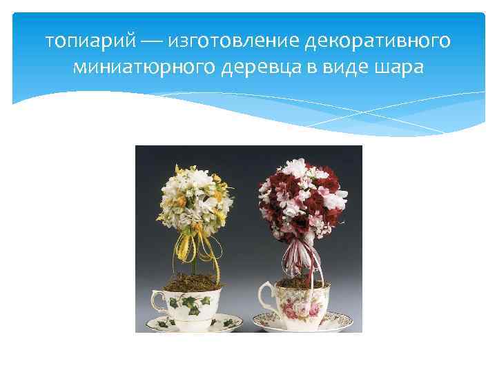 топиарий — изготовление декоративного миниатюрного деревца в виде шара 