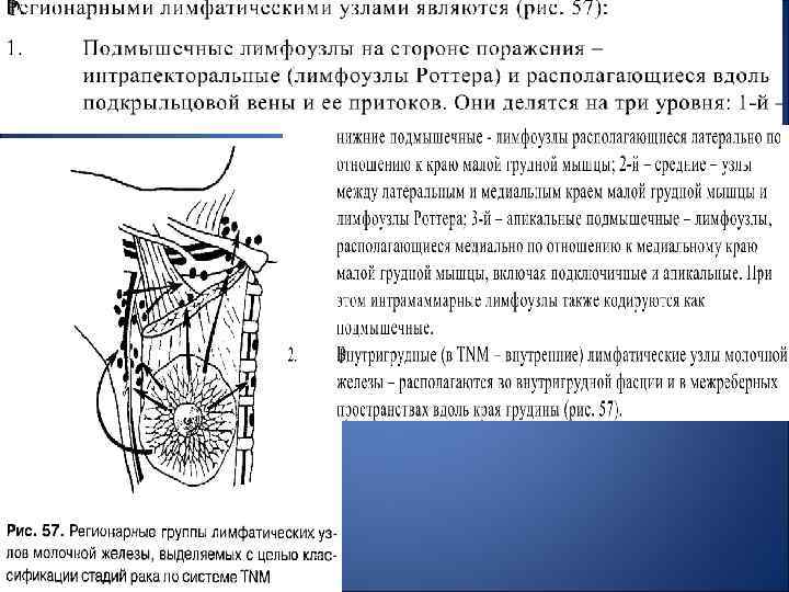 Заболевания молочной железы факультетская хирургия презентация