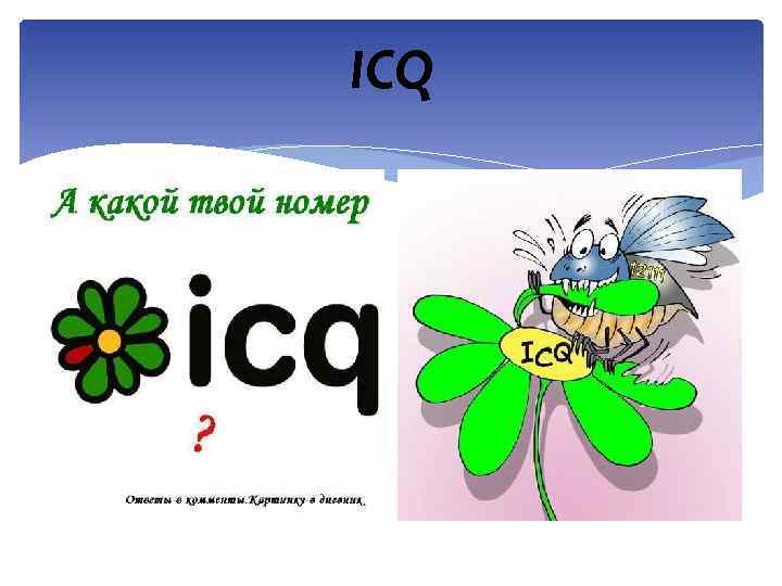 ICQ 