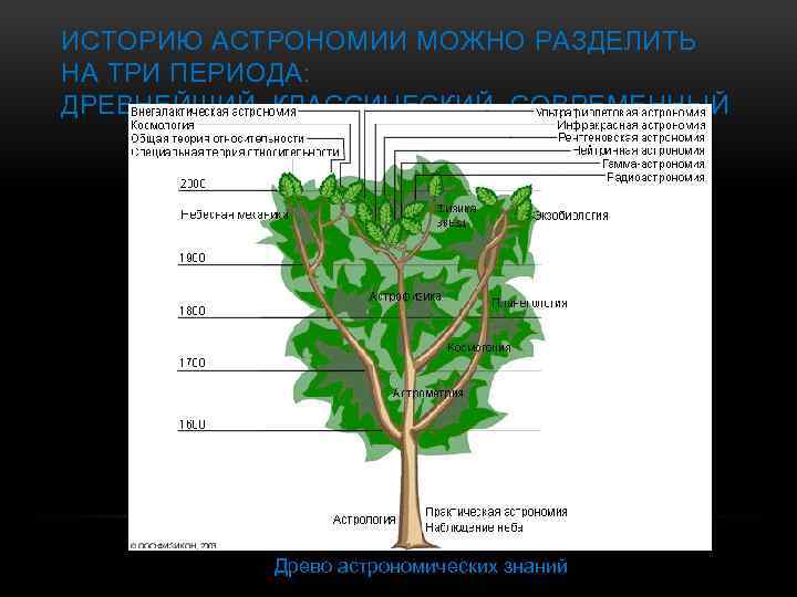 ИСТОРИЮ АСТРОНОМИИ МОЖНО РАЗДЕЛИТЬ НА ТРИ ПЕРИОДА: ДРЕВНЕЙШИЙ, КЛАССИЧЕСКИЙ, СОВРЕМЕННЫЙ Древо астрономических знаний 