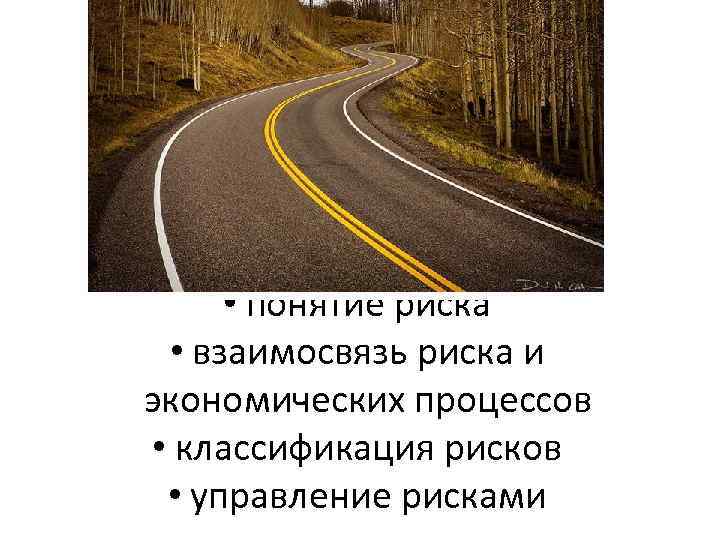  • понятие риска • взаимосвязь риска и экономических процессов • классификация рисков •