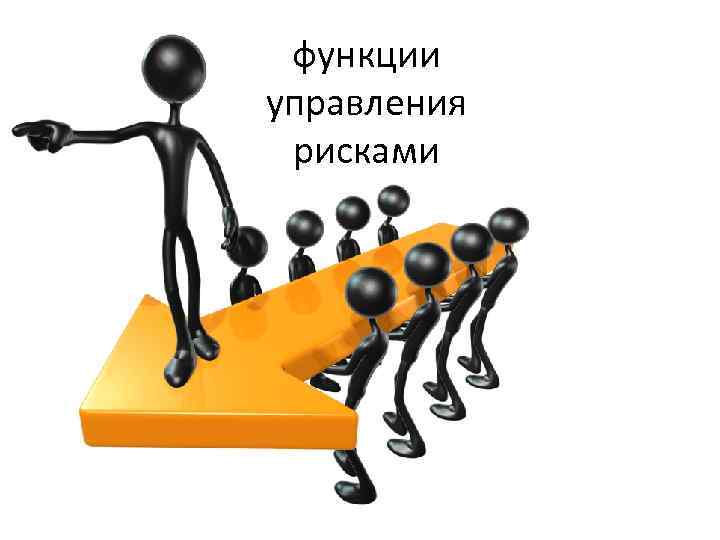 функции управления рисками 