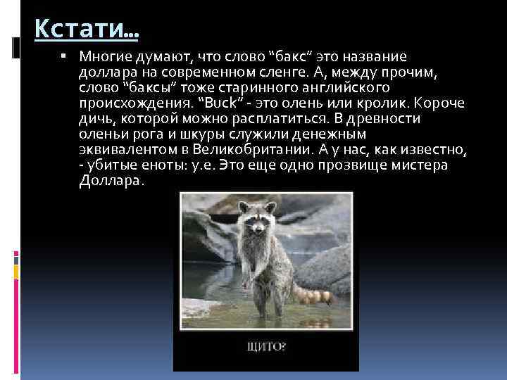 Кстати… Многие думают, что слово “бакс” это название доллара на современном сленге. А, между