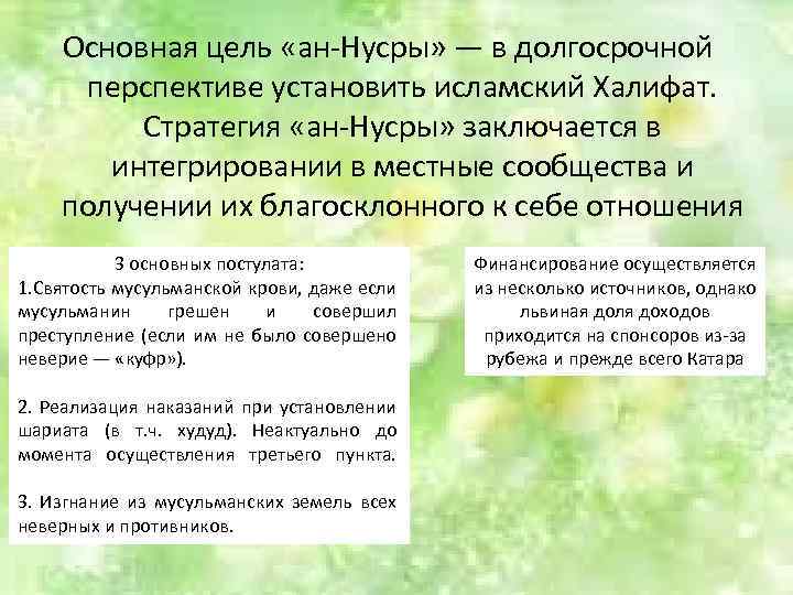 Основная цель «ан-Нусры» — в долгосрочной перспективе установить исламский Халифат. Стратегия «ан-Нусры» заключается в