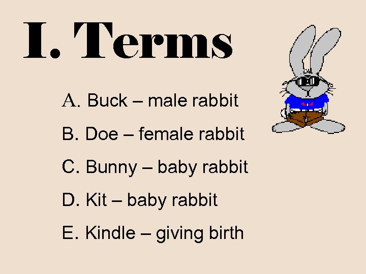 I. Terms A. Buck – male rabbit B. Doe – female rabbit C. Bunny