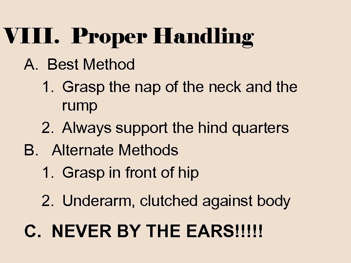 VIII. Proper Handling A. Best Method 1. Grasp the nap of the neck and