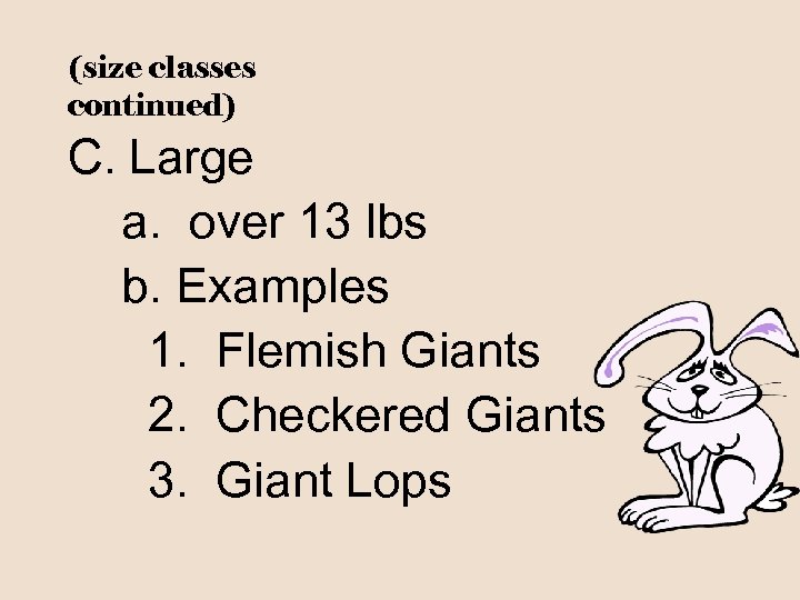 (size classes continued) C. Large a. over 13 lbs b. Examples 1. Flemish Giants