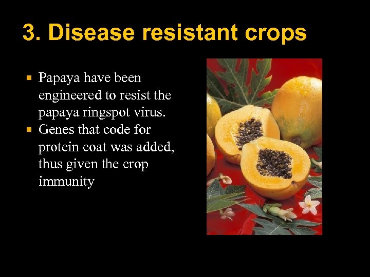 3. Disease resistant crops Papaya have been engineered to resist the papaya ringspot virus.