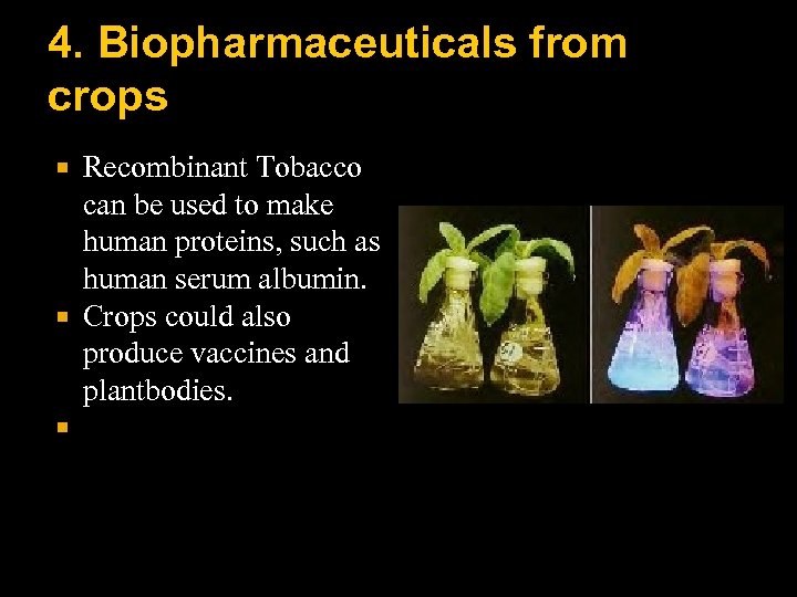 4. Biopharmaceuticals from crops Recombinant Tobacco can be used to make human proteins, such