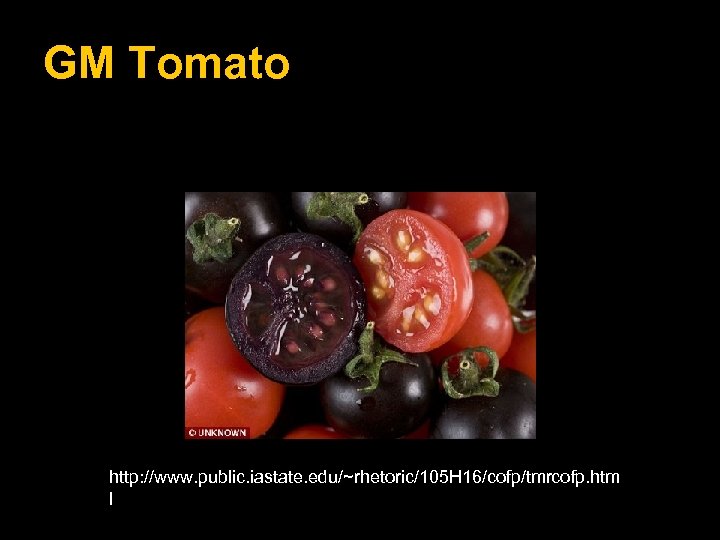 GM Tomato http: //www. public. iastate. edu/~rhetoric/105 H 16/cofp/tmrcofp. htm l 