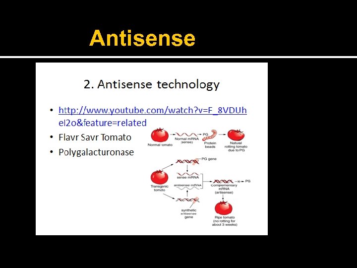 Antisense 