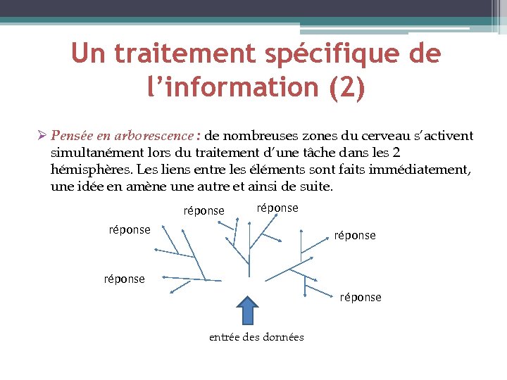 Un traitement spécifique de l’information (2) Ø Pensée en arborescence : de nombreuses zones