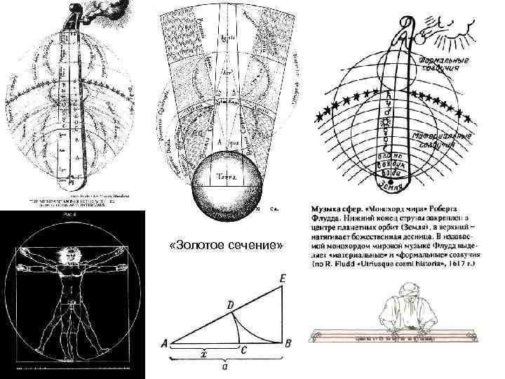  «Золотое сечение» 