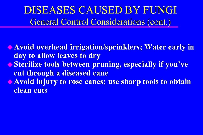 DISEASES CAUSED BY FUNGI General Control Considerations (cont. ) u Avoid overhead irrigation/sprinklers; Water