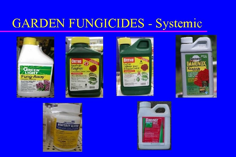 GARDEN FUNGICIDES - Systemic 