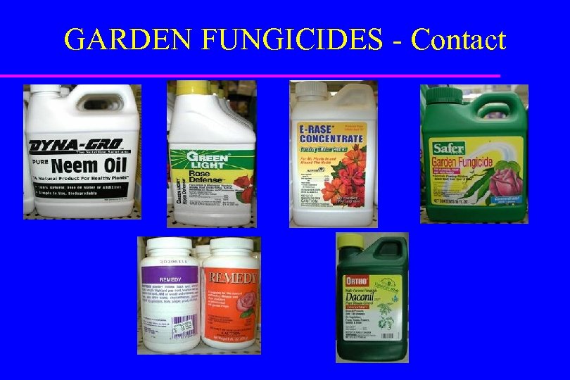 GARDEN FUNGICIDES - Contact 