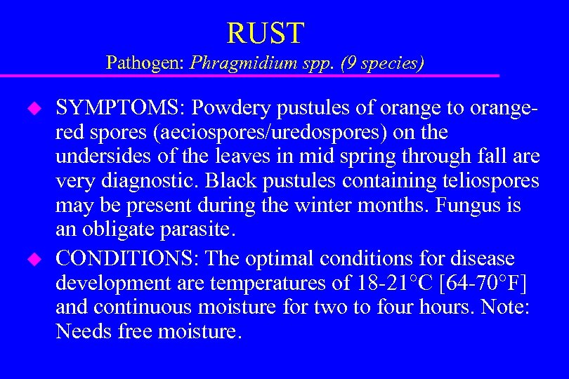 RUST Pathogen: Phragmidium spp. (9 species) u u SYMPTOMS: Powdery pustules of orange to