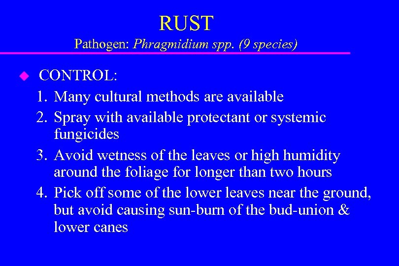 RUST Pathogen: Phragmidium spp. (9 species) u CONTROL: 1. Many cultural methods are available